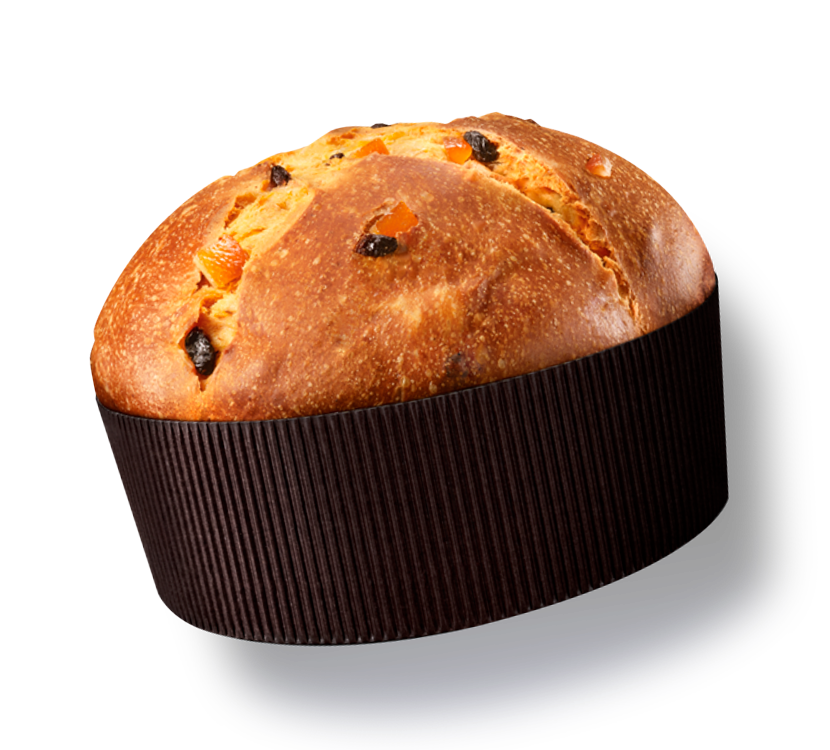Panettone